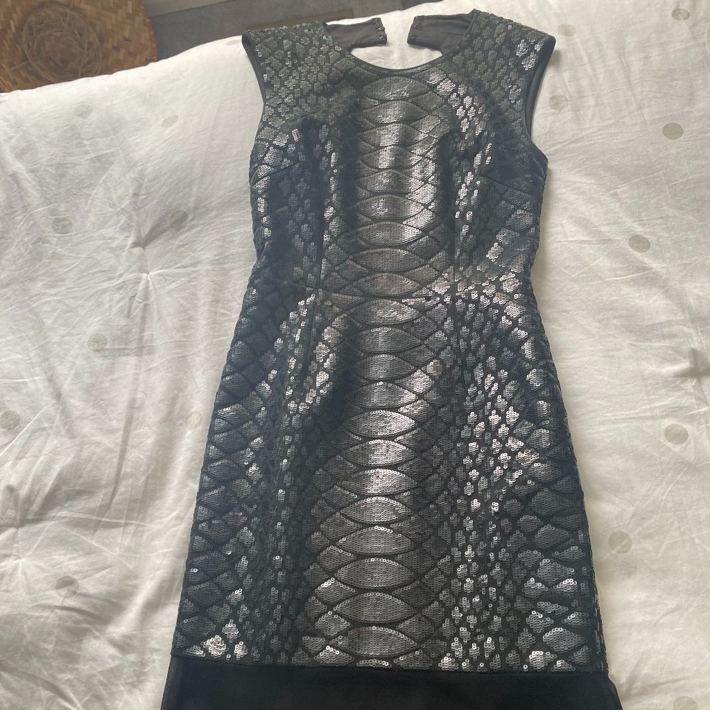 Stunning BCBG Evening Gown